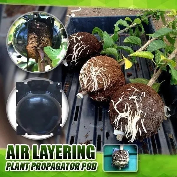 【LAST DAY SALE】Plant Root Growing Box
